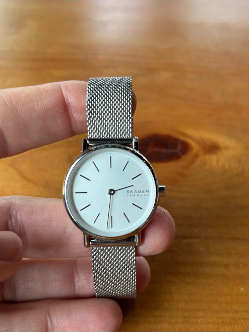 Skagen men watch